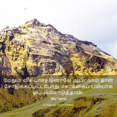 Picture 03 - எபிரெயர் 11:17 TAMIRV - மேலும் - Bible Verse Picture