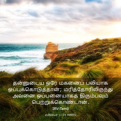 Picture 03 - எபிரெயர் 11:19 TAMIRV - தன்னுடைய ஒரே - Bible Verse Picture