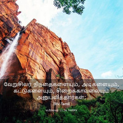 Picture 03 - எபிரெயர் 11:36 TAMIRV - வேறுசிலர் - Bible Verse Picture