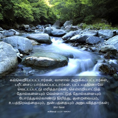 Picture 03 - எபிரெயர் 11:37 TAMIRV -  - Bible Verse Picture