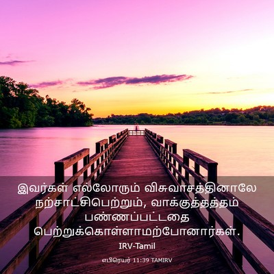 Picture 03 - எபிரெயர் 11:39 TAMIRV - இவர்கள் எல்லோரும் - Bible Verse Picture