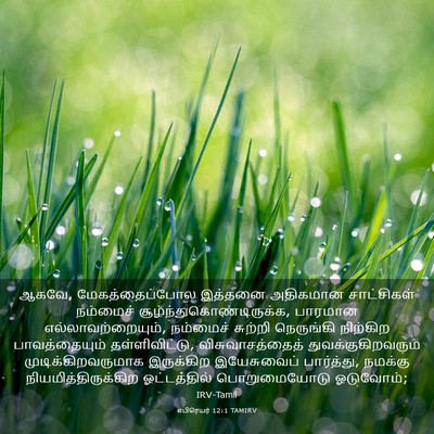 Picture 03 - எபிரெயர் 12:1 TAMIRV - ஆகவே, - Bible Verse Picture