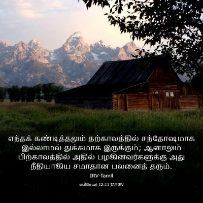 Picture 03 - எபிரெயர் 12:11 TAMIRV - எந்தக் - Bible Verse Picture