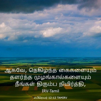 Picture 03 - எபிரெயர் 12:12 TAMIRV - ஆகவே, நெகிழ்ந்த - Bible Verse Picture