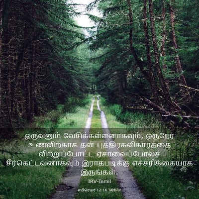 Picture 03 - எபிரெயர் 12:16 TAMIRV - ஒருவனும் - Bible Verse Picture