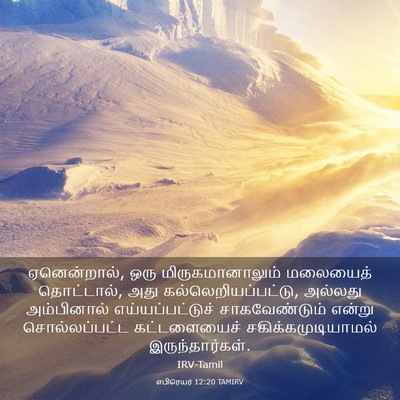 Picture 03 - எபிரெயர் 12:20 TAMIRV - ஏனென்றால், ஒரு - Bible Verse Picture