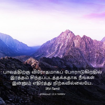 Picture 03 - எபிரெயர் 12:4 TAMIRV - பாவத்திற்கு - Bible Verse Picture