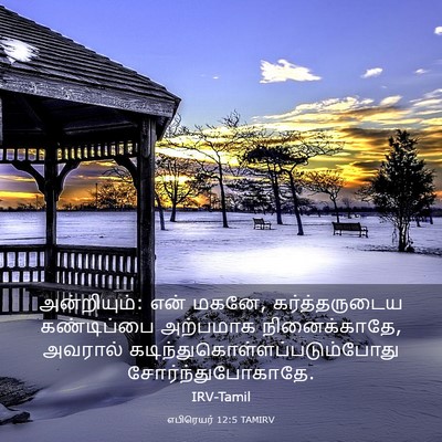 Picture 03 - எபிரெயர் 12:5 TAMIRV - அன்றியும்: என் - Bible Verse Picture