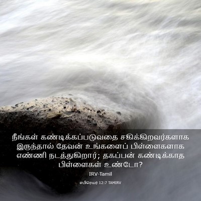 Picture 03 - எபிரெயர் 12:7 TAMIRV - நீங்கள் - Bible Verse Picture