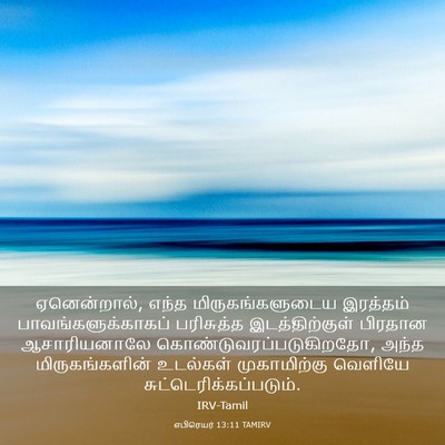 Picture 03 - எபிரெயர் 13:11 TAMIRV - ஏனென்றால், எந்த - Bible Verse Picture