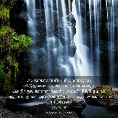 Picture 03 - எபிரெயர் 13:23 TAMIRV - சகோதரனாகிய - Bible Verse Picture