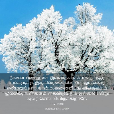 Picture 03 - எபிரெயர் 13:5 TAMIRV - நீங்கள் பணஆசை - Bible Verse Picture