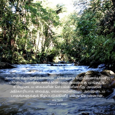 Picture 03 - எபிரெயர் 2:7 TAMIRV - அவனை - Bible Verse Picture