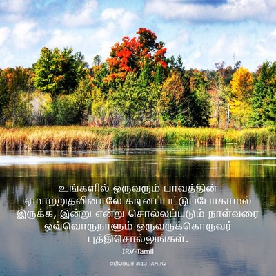 Picture 03 - எபிரெயர் 3:13 TAMIRV - உங்களில் ஒருவரும் - Bible Verse Picture