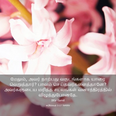 Picture 03 - எபிரெயர் 3:17 TAMIRV - மேலும், அவர் - Bible Verse Picture