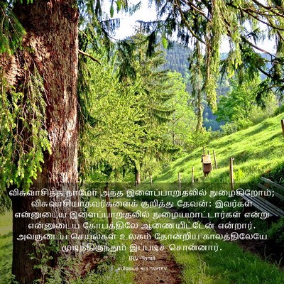 Picture 03 - எபிரெயர் 4:3 TAMIRV - விசுவாசித்த நாமோ - Bible Verse Picture