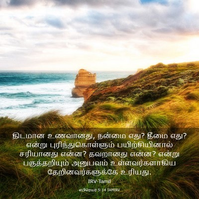 Picture 03 - எபிரெயர் 5:14 TAMIRV - திடமான உணவானது, - Bible Verse Picture