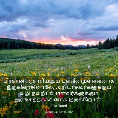 Picture 03 - எபிரெயர் 5:2 TAMIRV - பிரதான ஆசாரியனும் - Bible Verse Picture