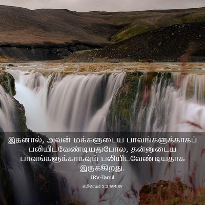 Picture 03 - எபிரெயர் 5:3 TAMIRV - இதனால், அவன் - Bible Verse Picture