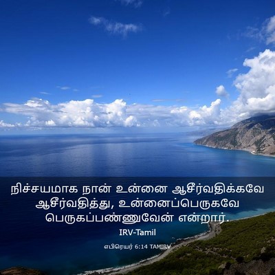 Picture 03 - எபிரெயர் 6:14 TAMIRV - நிச்சயமாக நான் - Bible Verse Picture