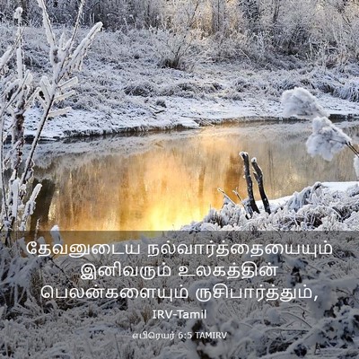 Picture 03 - எபிரெயர் 6:5 TAMIRV - தேவனுடைய - Bible Verse Picture
