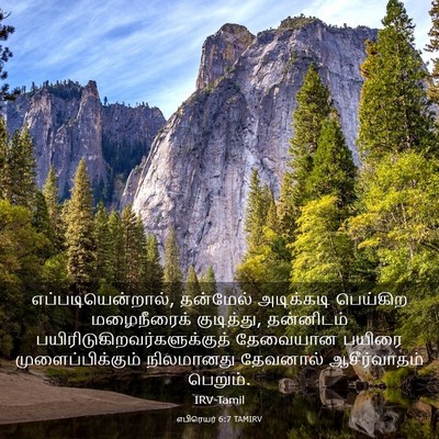 Picture 03 - எபிரெயர் 6:7 TAMIRV - எப்படியென்றால், - Bible Verse Picture