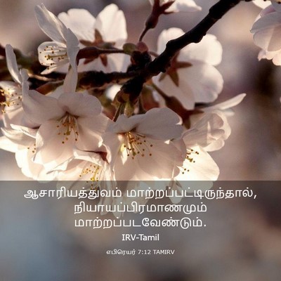 Picture 03 - எபிரெயர் 7:12 TAMIRV - ஆசாரியத்துவம் - Bible Verse Picture