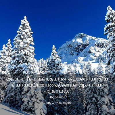 Picture 03 - எபிரெயர் 7:16 TAMIRV - அவர் சரீர - Bible Verse Picture