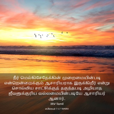 Picture 03 - எபிரெயர் 7:17 TAMIRV - நீர் - Bible Verse Picture