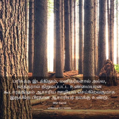 Picture 03 - எபிரெயர் 8:2 TAMIRV - பரிசுத்த - Bible Verse Picture