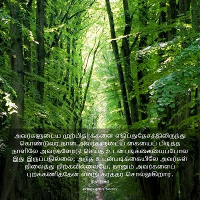 Picture 03 - எபிரெயர் 8:9 TAMIRV - அவர்களுடைய - Bible Verse Picture