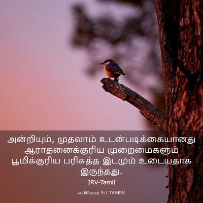 Picture 03 - எபிரெயர் 9:1 TAMIRV - அன்றியும், - Bible Verse Picture