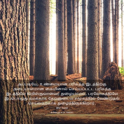 Picture 03 - எபிரெயர் 9:24 TAMIRV - அப்படியே, - Bible Verse Picture