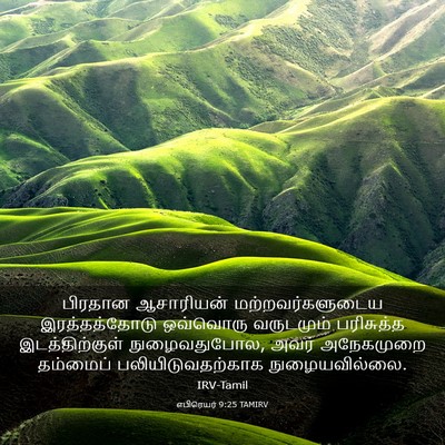 Picture 03 - எபிரெயர் 9:25 TAMIRV - பிரதான ஆசாரியன் - Bible Verse Picture