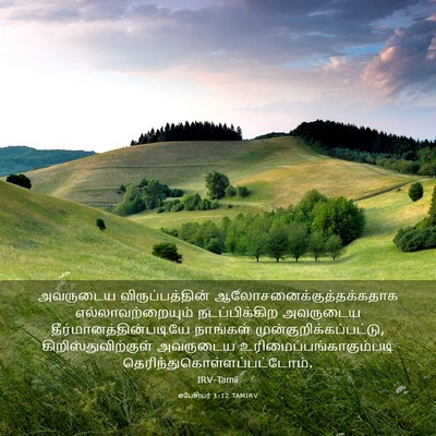 Picture 03 - எபேசியர் 1:12 TAMIRV - அவருடைய - Bible Verse Picture