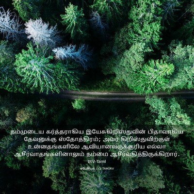 Picture 03 - எபேசியர் 1:3 TAMIRV - நம்முடைய - Bible Verse Picture
