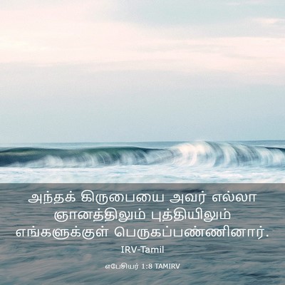 Picture 03 - எபேசியர் 1:8 TAMIRV - அந்தக் கிருபையை - Bible Verse Picture