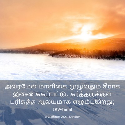 Picture 03 - எபேசியர் 2:21 TAMIRV - அவர்மேல் மாளிகை - Bible Verse Picture