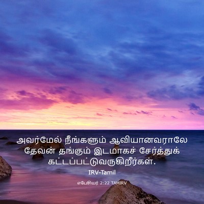 Picture 03 - எபேசியர் 2:22 TAMIRV - அவர்மேல் - Bible Verse Picture