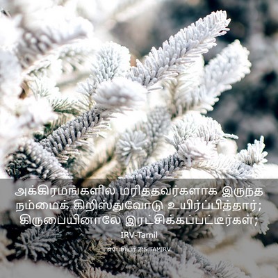 Picture 03 - எபேசியர் 2:5 TAMIRV - அக்கிரமங்களில் - Bible Verse Picture