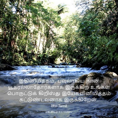 Picture 03 - எபேசியர் 3:1 TAMIRV - இதினிமித்தம், - Bible Verse Picture