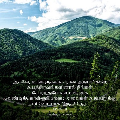 Picture 03 - எபேசியர் 3:13 TAMIRV - ஆகவே, உங்களுக்காக - Bible Verse Picture