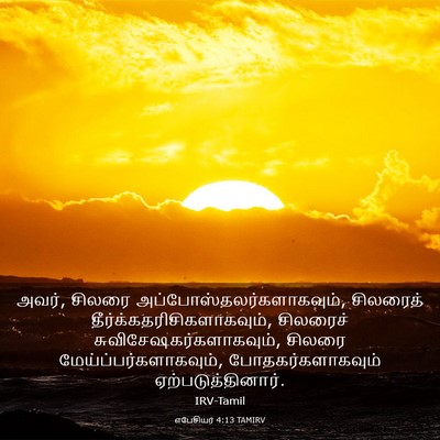 Picture 03 - எபேசியர் 4:13 TAMIRV - அவர், சிலரை - Bible Verse Picture