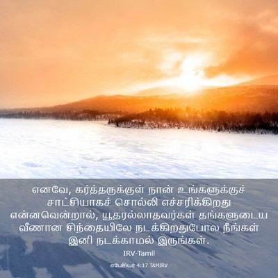 Picture 03 - எபேசியர் 4:17 TAMIRV - எனவே, - Bible Verse Picture