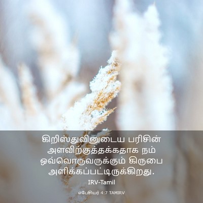 Picture 03 - எபேசியர் 4:7 TAMIRV - கிறிஸ்துவினுடைய - Bible Verse Picture