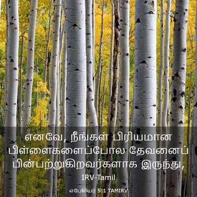 Picture 03 - எபேசியர் 5:1 TAMIRV - எனவே, நீங்கள் - Bible Verse Picture
