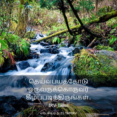 Picture 03 - எபேசியர் 5:21 TAMIRV - தெய்வபயத்தோடு - Bible Verse Picture