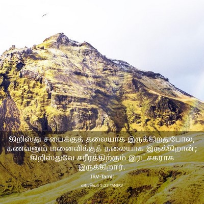 Picture 03 - எபேசியர் 5:23 TAMIRV - கிறிஸ்து - Bible Verse Picture