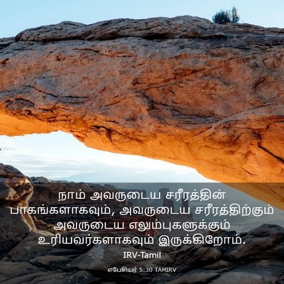 Picture 03 - எபேசியர் 5:30 TAMIRV - நாம் அவருடைய - Bible Verse Picture