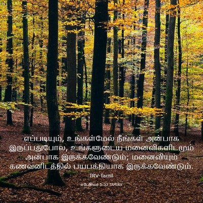 Picture 03 - எபேசியர் 5:33 TAMIRV - எப்படியும், - Bible Verse Picture